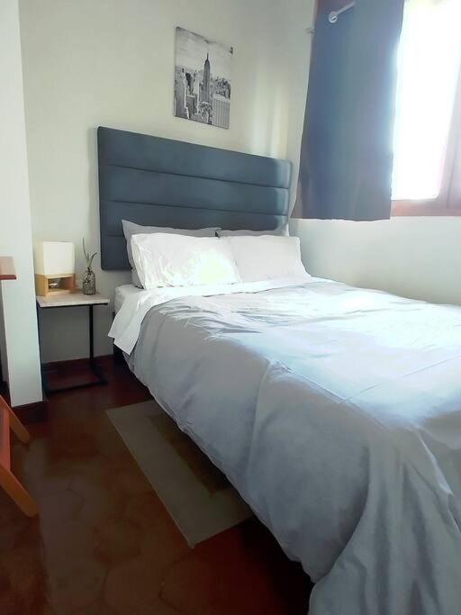 Central, Cozy & Self-Contained Petfriendly Apartments In The Heart Of Miraflores Lima Buitenkant foto