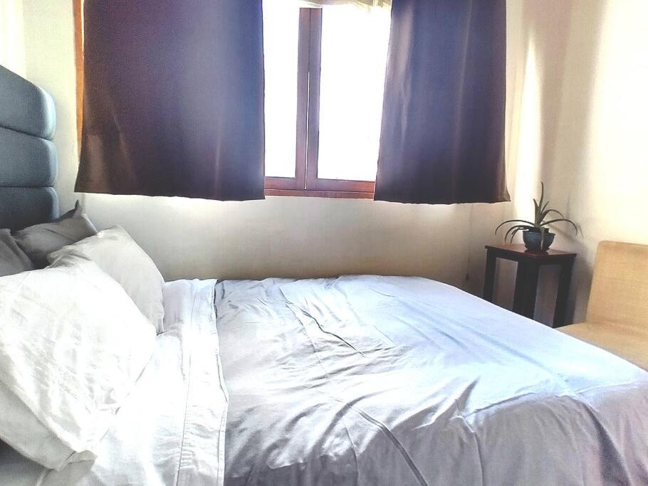 Central, Cozy & Self-Contained Petfriendly Apartments In The Heart Of Miraflores Lima Buitenkant foto